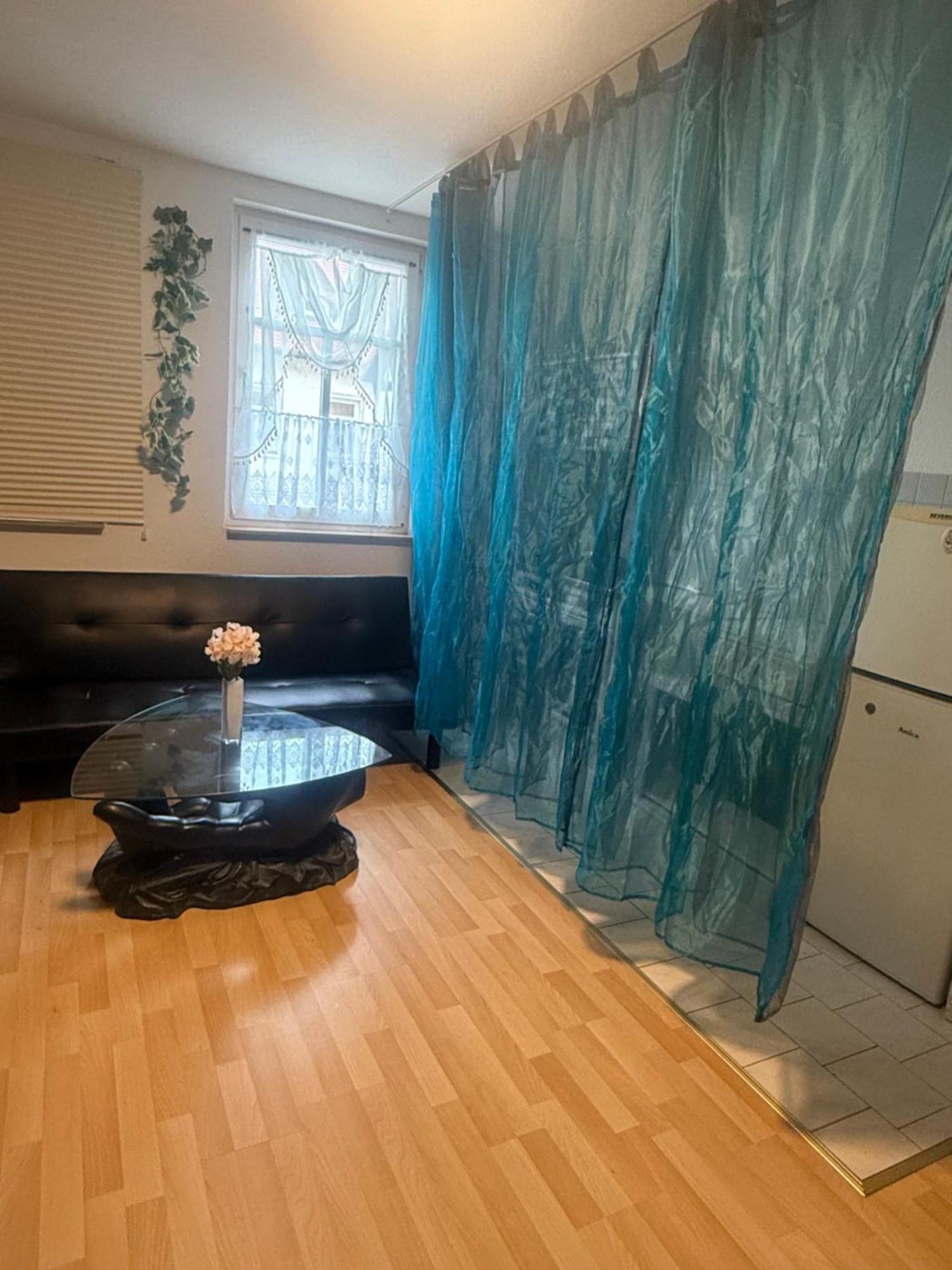 Weißenfels Ferienzimmer Healing Und Montuerwohnung מראה חיצוני תמונה