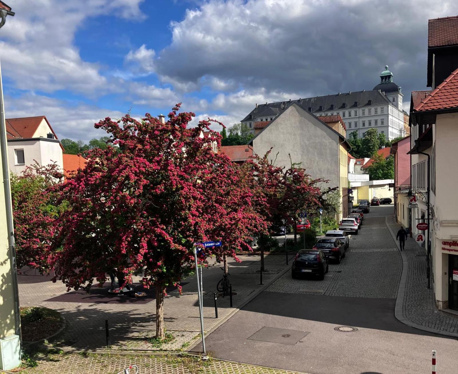 Weißenfels Ferienzimmer Healing Und Montuerwohnung מראה חיצוני תמונה